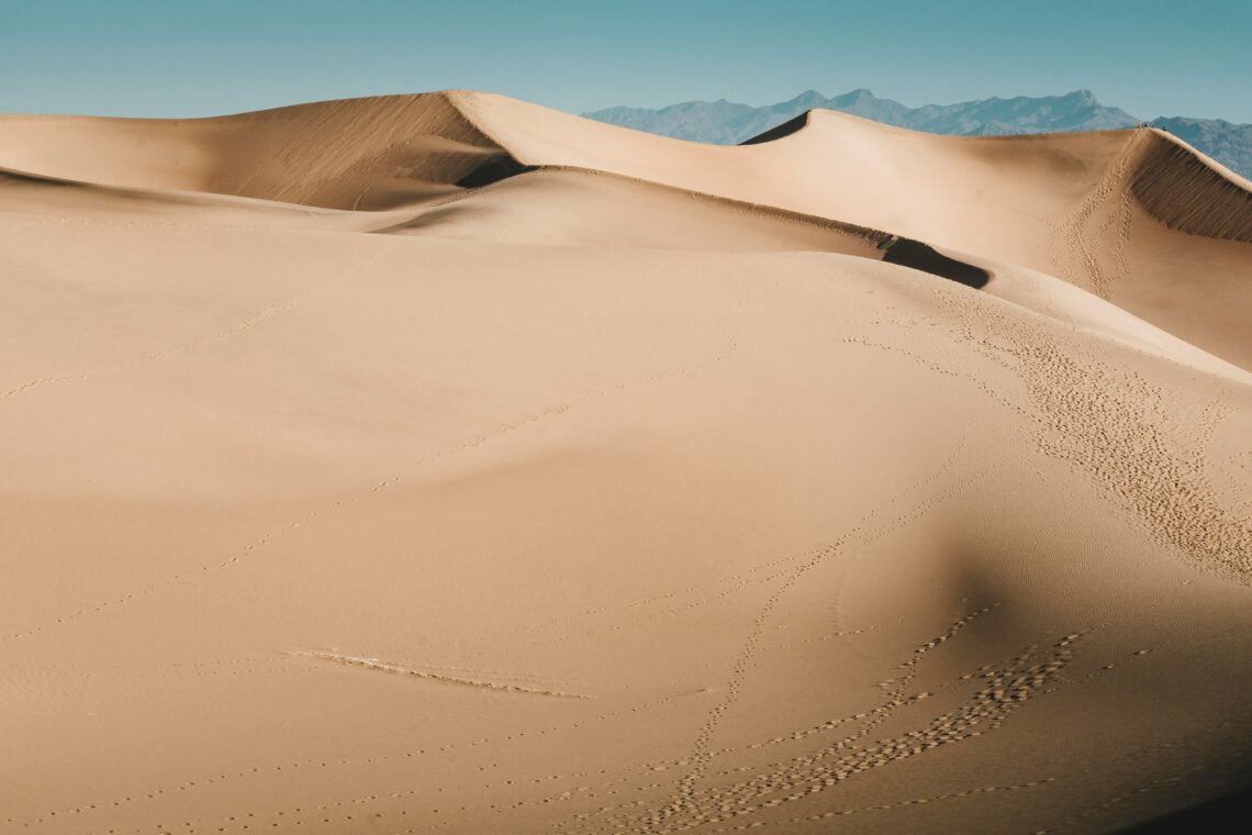 Deserts require commitment, not creativity.